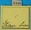 CollectionObject 1552378; ab370e4e-8ca3-410e-aa21-ed72d03b70db: labels. (CollectionObject).