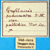 CollectionObject 1502731; e80dbd3d-f2e5-40d9-9c1e-e05e24fdbc22: labels. (CollectionObject).