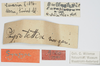 CollectionObject 1536107; e315b325-fd8e-461f-8d1c-fc2ca8ae6ddd: male, labels (syntype). (CollectionObject).