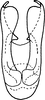Aedeagus, ventral view on Achaetica anabasidis Emeljanov, 1959: Aedeagus, ventral view (A. nanophyti Vilbaste). (Observation).