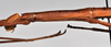 CollectionObject 1558564; 3ae685c8-f1c6-4bd0-85f7-d0b8fa72a781: copyright NTUC. female: head and thorax, lateral view (syntype). (CollectionObject).;CollectionObject 1558565; b09dd22e-7f33-4771-b1d9-24d893a97422: copyright NTUC. female: head and thorax, lateral view (syntype). (CollectionObject).