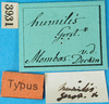 CollectionObject 1500876; 8563ac88-753e-4113-a4e6-2a6d8bb6e78e: labels (holotype). (CollectionObject).