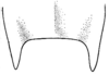 CollectionObject 1522472; c548017d-ca7e-4fe0-9da4-4b723c95eca2: Pl. XIX, Fig. 8 (after type). male subgenital plate, ventral view. (CollectionObject).