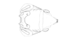 Tebacris nigrisoma Cigliano, 1989: Fig. 198. phallic complex, dorsal view. (Otu).