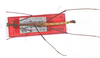 CollectionObject 1560248; 1a19e2b6-3447-48d5-a705-a531a0e15fc5: copyright ZMB, Berlin. male (holotype). (CollectionObject).