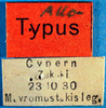 CollectionObject 1572850; 554b071c-f026-4ad2-8ae2-780320c45d7b: labels (allotype). (CollectionObject).