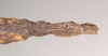 CollectionObject 1560498; 9f6255ae-b881-457f-b808-5bda1a544370, NHMUK(SF IMPORT DUPLICATE) 845029-845030: copyright Natural History Museum, London. female: end of abdomen, dorsal view (syntype). (CollectionObject).
