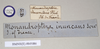 CollectionObject 1559877; NHMUK(SF IMPORT DUPLICATE) 845086, cec9353d-0311-4129-b4c7-132ab6f7d6e5: copyright Natural History Museum, London. female, data labels of synonym Monandroptera inuncans (lectotype). (CollectionObject).