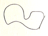 Guineacris cercata Ramme, 1941: Fig. 37. male right cercus, lateral view. (Otu).