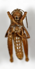 CollectionObject 1528782; c7171385-8ce9-4032-80dc-ec61c778ef26: male, ventral view (holotype). (CollectionObject).
