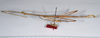 CollectionObject 1557024; 807ad312-522c-41ae-a2e9-14bcc76c50a7: copyright ANSP. male, lateral view (syntype). (CollectionObject).;CollectionObject 1557025; 9744693e-f103-4e3f-a20e-3ee15e4bff06: copyright ANSP. male of synonym Bostra jugalis, lateral view (syntype). (CollectionObject).