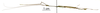 CollectionObject 1583789; 403519e2-9601-46c2-ac33-f8f511127417: copyright MNHN, Paris. male, lateral view (holotype). (CollectionObject).