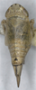 Habitus, dorsal view: !! display not done !! on Doratura stylata (Boheman, 1847): female. (Observation).