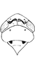 Head on Exitianus nanus (Distant, 1908): head, pronotum and mesonotum; dark_form; from Okahandia, Rhodesia. (Observation).