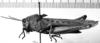 CollectionObject 1552388; c12b1e61-3c11-40d8-968c-76dce7e27029: Image Carbonell, C.S. female, lateral view (syntype). (CollectionObject).
