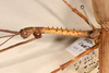 CollectionObject 1558982; a2667a89-712a-4ba6-8f36-842bc936eedf: copyright OUMNH. male: head and thorax, lateral view (syntype). (CollectionObject).