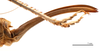 CollectionObject 1578321; f28a3073-360e-416a-9397-eb069276471a: ovipositor, lateral view (allotype). (CollectionObject).