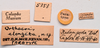 CollectionObject 2057250; 5288eaca-fc9e-4b4f-9fab-135c9363c5fd, CNMS 5353: labels (paratype). (CollectionObject).