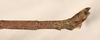 CollectionObject 1559545; daab65d1-a490-4925-9187-c093a27b59df: copyright OUMNH. male: end of abdomen, lateral view of Necroscia iolas (holotype). (CollectionObject).