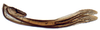 Ovipositor on Achaeticina Emeljanov, 1962: Achaetica anabasidis, 2nd valvulae (INHS). (Observation).