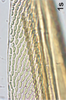 Ovipositor on Bretega linnavuorii Stiller, 2017: Valvula I, subapically. (Observation).