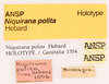 CollectionObject 1523727; c0a52703-44b5-4c30-bc31-742b6009fbae: labels (holotype). (CollectionObject).
