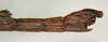 CollectionObject 1560695; NMW 1052, 3ee563fb-7bd8-43d7-9ffc-4d7dcad46358: copyright NMW, Vienna. female: end of abdomen, lateral view (holotype). (CollectionObject).