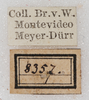 labels. Depicts CollectionObject 1566595; NMW 8357, 4cc439f5-f56c-45f9-9d8d-7aa921afc3b0, a CollectionObject.