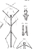 CollectionObject 1557608; 3e80dc5c-9976-473b-bac6-889a902d7bc6: from original publication. male (type). (CollectionObject).