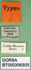 CollectionObject 1500573; 971c15cb-c553-419d-8066-541a0ad4d53a, DORSA BT000306S05: labels (holotype). (CollectionObject).