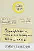 CollectionObject 1571030; fa55817f-d900-4cea-848a-8f0e5c6883fd: labels (paratype). (CollectionObject).