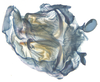 CollectionObject 1578223; 15a4a989-b64f-41f9-bff0-865db3461705: phallus, inner view. (CollectionObject).