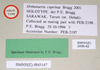 CollectionObject 1560634; NHMUK(SF IMPORT DUPLICATE) 845147, 4f9d75bd-6412-4459-9b13-201268b5dfa2: copyright Natural History Museum, London. female, data labels (holotype). (CollectionObject).