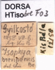 labels. Depicts CollectionObject 1507205; 6d949e5d-1b91-4fb8-8c77-1dfc4e5cc752, a CollectionObject.