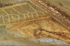 CollectionObject 1539803; 7c60f6b2-ddec-491c-b721-52ccf9c8a16e, MNHN-EO-ENSIF801: male cerci (holotype). (CollectionObject).