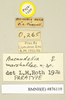 Ancaudellia marshallae Roth, 1977: Copyright Natural History Museum, London. Labels from paratype (adult female) in BM(NH). (Otu).