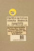 CollectionObject 2070410; f7d6d705-9d53-4972-9bc4-9d3036ab5a17, NHMUK015982272: labels (paratype). (CollectionObject).