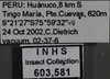 Other on Caldwelliola tharma (Young, 1977): Labels - blue green. Labels for the blue green color variation. (Observation).