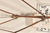CollectionObject 1558237; d49b09bf-b84f-4f86-9d9a-2a9462d10240: copyright OUMNH. male: head, lateral view (syntype). (CollectionObject).