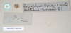 CollectionObject 1560498; 9f6255ae-b881-457f-b808-5bda1a544370, NHMUK(SF IMPORT DUPLICATE) 845029-845030: copyright Natural History Museum, London. female, dta labels (syntype). (CollectionObject).
