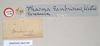 CollectionObject 1557508; 213d8a09-9f6c-4269-9e96-470aa795a70a: copyright Natural History Museum, London. male, data labels - round label reversed (holotype). (CollectionObject).