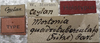 CollectionObject 1505750; 3559cd5b-4cc6-487d-b8b4-fc34b7b810e2: labels (holotype). (CollectionObject).