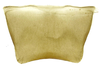Sternite VIII (male) on Caetana pulchra Domahovski, Gonçalves, Takiya & Cavichioli, 2019: Male holotype [DZUP]: sternite VIII, ventral view. (Observation).