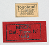 CollectionObject 1578644; 168060c9-4f87-419a-a07b-872df13bd359: labels (paratype of Petasia oberthuri). (CollectionObject).