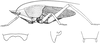Apoecides madagascariensis Bolívar, 1914: male habitus, cercus and subgenital plate. (Otu).