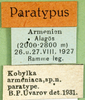 CollectionObject 1502873; e4398289-3265-4e43-b7ee-c7c27444c66a: labels (paratype). (CollectionObject).