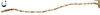 CollectionObject 1582867; Depo SF.DepoID 3783, Coll. RC 16-129, d662c350-8838-4ffb-8dc5-2bacd432a126: copyright MPMP, Manila. male, antenna (paratype). (CollectionObject).