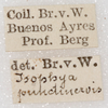labels. Depicts CollectionObject 1532990; e499390f-2cd6-410f-9d3a-aecf5a489a6c, a CollectionObject.