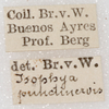 CollectionObject 1532990; e499390f-2cd6-410f-9d3a-aecf5a489a6c: labels. (CollectionObject).