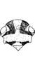 Head: !! display not done !! on Utecha trivia (Germar, 1821): Head, pro-, and mesothorax. (Observation).